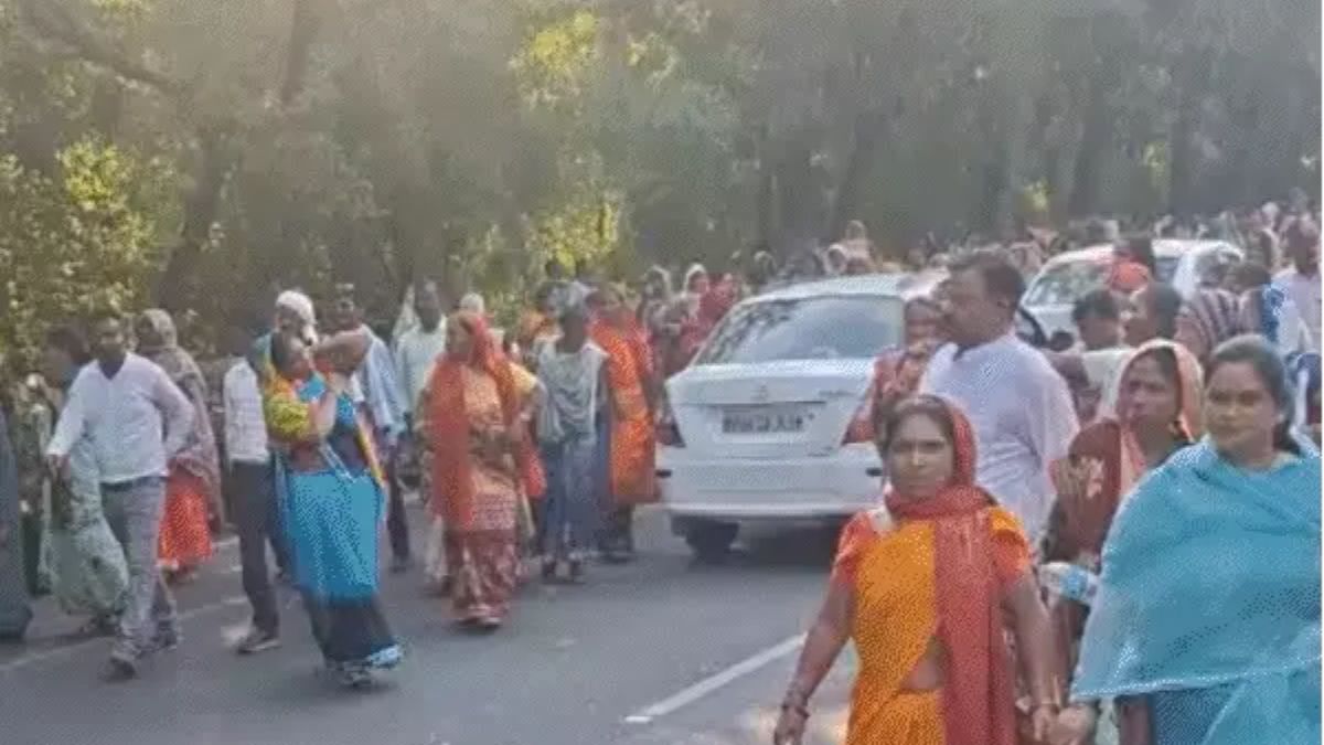 naidunia_image